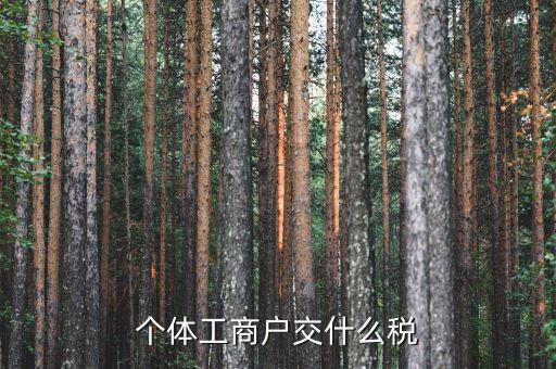 個體工商戶是什么稅，個體工商戶要納的稅包括哪些