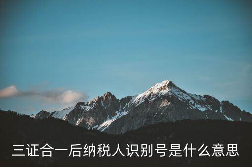 三證合一稅務識別號是什么意思，三證合一后納稅人識別號是什么意思