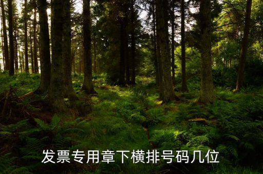 發(fā)票專用章的號碼是什么，發(fā)票專用章和公章上的號碼是一樣的不都是執(zhí)業(yè)許可證號
