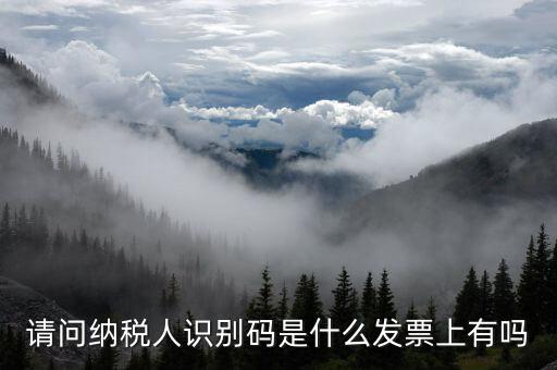 發(fā)票納稅人代碼是什么意思，請問納稅人識別碼是什么發(fā)票上有嗎