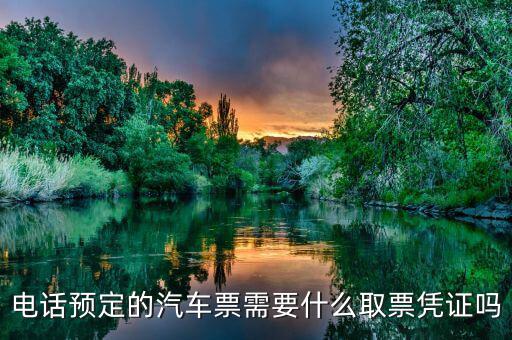 電話取票需要帶什么資料，電話預定的汽車票需要什么取票憑證嗎