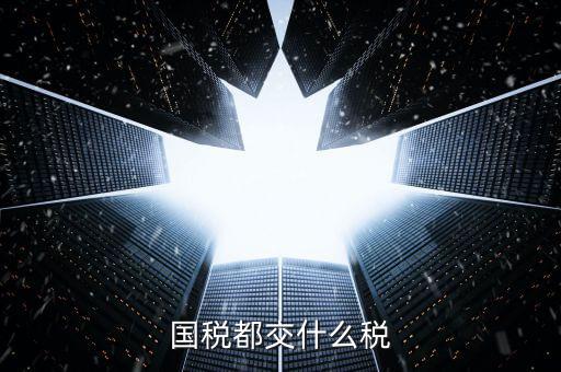 國稅稅款是什么，國稅都交什么稅