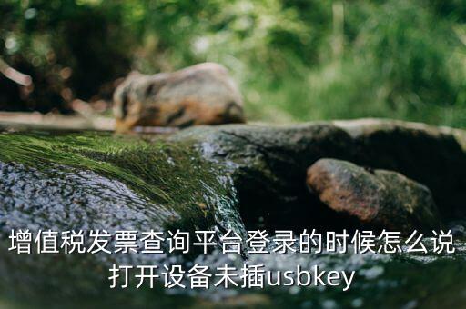 金稅盤登陸口令是什么，增值稅發(fā)票查詢平臺登錄的時候怎么說打開設(shè)備未插usbkey