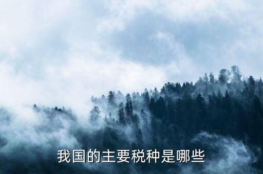 中國三大稅收是什么，中國境內(nèi)的稅收種類