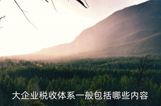 企業(yè)付稅體制是什么，我國(guó)稅收管理體制是什么
