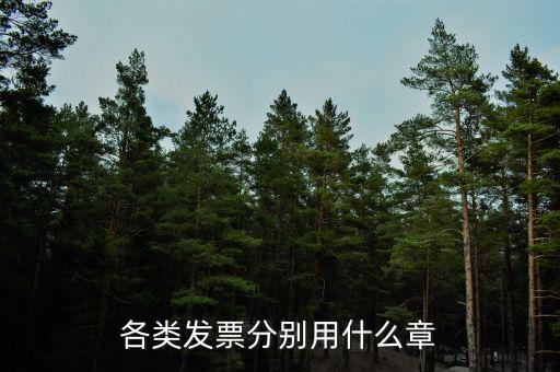 發(fā)票退票申請蓋什么章，銀行的退票申請書加蓋公章還是財務(wù)章