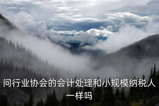 行業(yè)協(xié)會為什么納稅人，問行業(yè)協(xié)會的會計處理和小規(guī)模納稅人一樣嗎