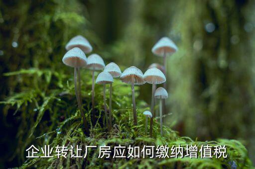 廠房轉(zhuǎn)讓需要交什么稅，廠房股權(quán)轉(zhuǎn)讓應(yīng)該交那些稅稅率是多少