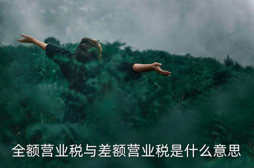 什么叫差額征稅，什么是差額稅