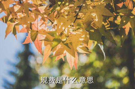 代征規(guī)費是什么，什么是規(guī)費