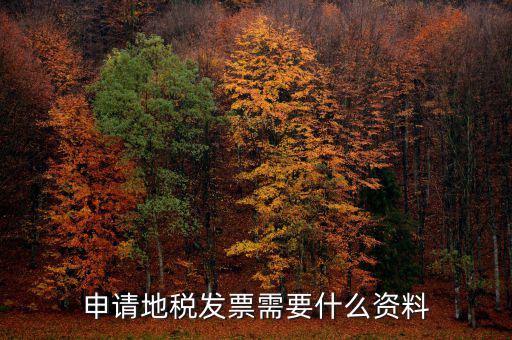 地稅局開票需要帶什么，申請(qǐng)地稅發(fā)票需要什么資料