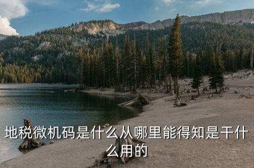 地稅登入碼是什么，地稅管理碼與稅號是同一個(gè)嗎我想知道稅務(wù)登記證上的稅字XXXXX