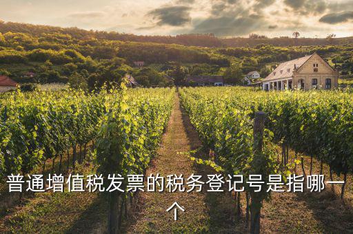 什么是增值稅登記號(hào)碼，增值稅登記號(hào)