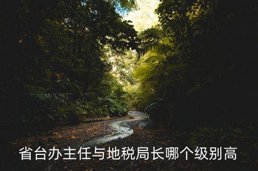 地稅局主任是什么級別，省臺辦主任與地稅局長哪個級別高