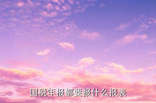 國(guó)稅年報(bào)都有什么報(bào)表，國(guó)稅年報(bào)都要報(bào)什么報(bào)表