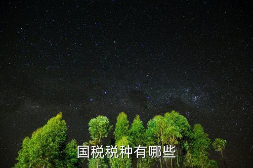 國稅都有什么稅，國稅包括哪些啊