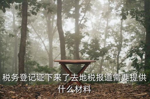 去地稅局報道需要什么手續(xù)，稅務(wù)登記證下來了去地稅報道需要提供什么材料