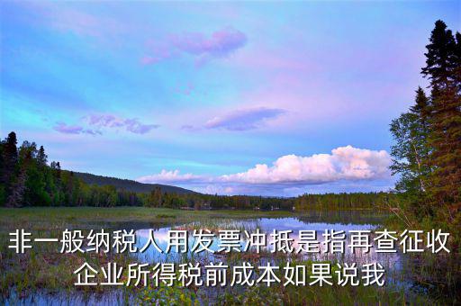 什么是非一般納稅人，非一般納稅人用發(fā)票沖抵是指再查征收企業(yè)所得稅前成本如果說我