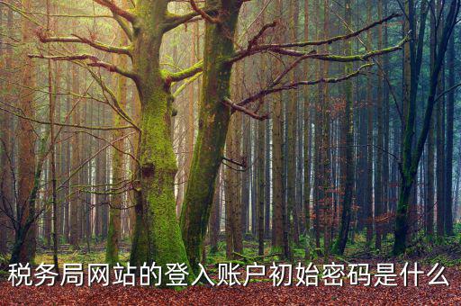 浙江國稅登入密碼是什么，稅務(wù)局網(wǎng)站的登入賬戶初始密碼是什么