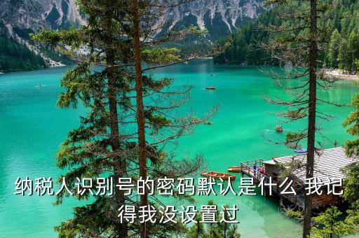 山東默認(rèn)國(guó)稅密碼是什么意思，你好我想問你 一下 網(wǎng)上國(guó)稅的用戶名和密碼是什么