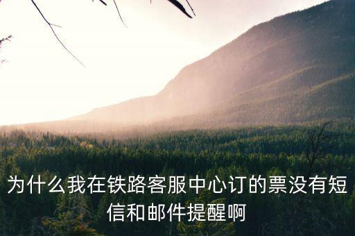 為什么購(gòu)票成功沒(méi)有短信提醒，為什么我在鐵路客服中心訂的票沒(méi)有短信和郵件提醒啊