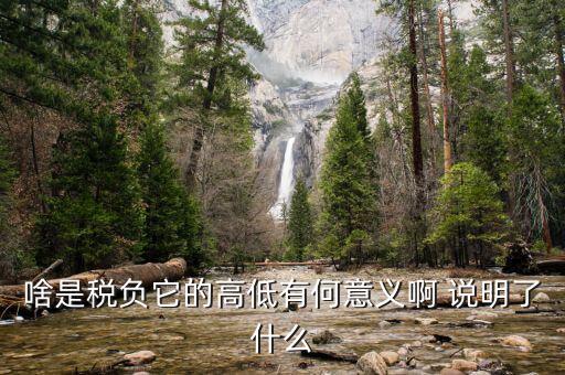 什么是稅負分析，增值稅稅負什么意思
