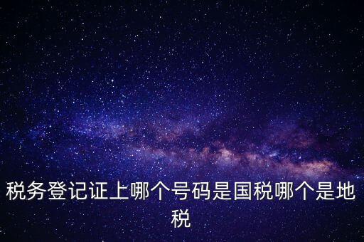 國稅地稅登記號是什么，稅務登記證上哪個號碼是國稅哪個是地稅