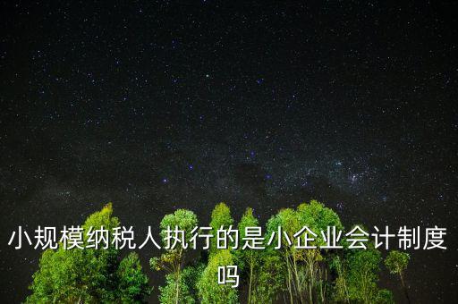 小規(guī)模納稅人什么制度，我國增值稅法對小規(guī)模納稅人實行什么法