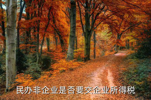 非企業(yè)單位交什么稅，非居民企業(yè)的征稅范圍