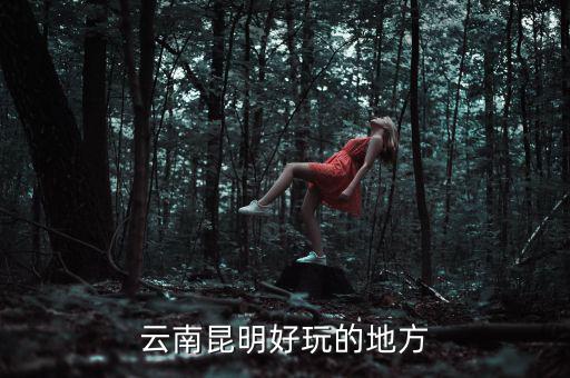 云南昆明地稅旁有什么好玩的地方，云南昆明有哪些好玩的地方