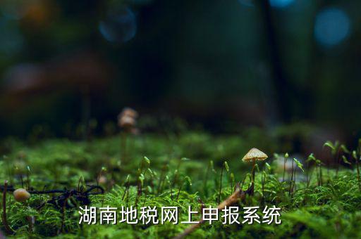 湖南省的地稅報稅軟件是什么，湖南地稅網(wǎng)上申報系統(tǒng)