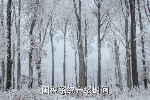 稅務系統(tǒng)什么時候更新的，深圳國稅系統(tǒng)什么時候換的