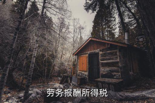 什么是勞動(dòng)報(bào)酬稅，勞務(wù)稅是什么