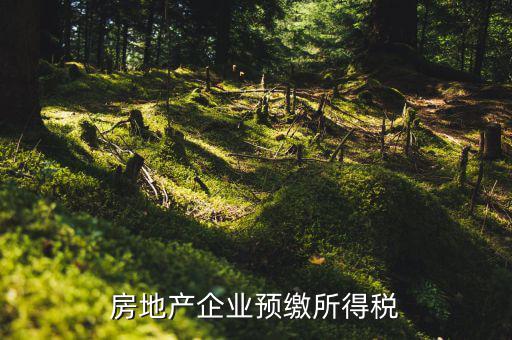 房地產(chǎn)預繳是什么意思，房價預交1萬抵2萬是什么意思