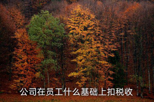 什么是稅收基礎(chǔ)工作，問個(gè)問題稅務(wù)基本建設(shè) 是個(gè)什么崗位