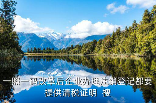 一碼一照清稅需要提交什么資料，一照一碼改革后企業(yè)辦理注銷登記都要提供清稅證明  搜