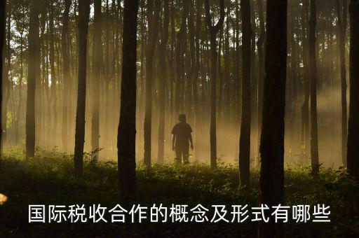 國(guó)際稅源是什么意思，國(guó)際稅收合作的概念及形式有哪些