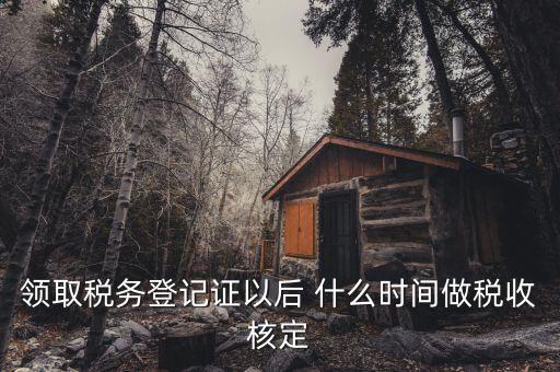 什么時(shí)候需要稅種核定，新注冊(cè)企業(yè)什么時(shí)候要申請(qǐng)稅種核定并購(gòu)買發(fā)票