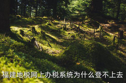企業(yè)所得稅系統(tǒng)為什么登不上，福建地稅網(wǎng)上辦稅系統(tǒng)為什么登不上去