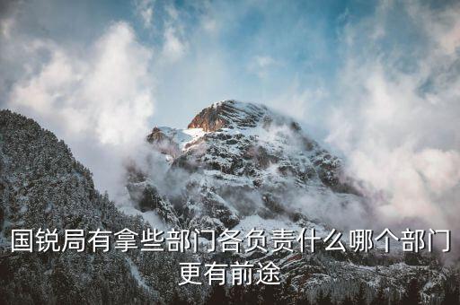 國(guó)銳局是辦什么，深圳公司入黑名單注銷吊銷
