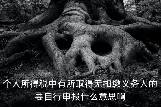 什么叫自行申報(bào)，個(gè)人所得稅中有所取得無(wú)扣繳義務(wù)人的要自行申報(bào)什么意思啊