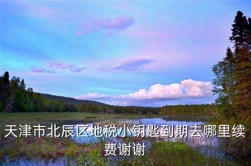天津地稅小鑰匙密碼是什么，天津市北辰區(qū)地稅小鑰匙到期去哪里續(xù)費謝謝
