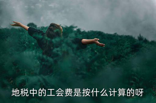 地稅代征的工會(huì)經(jīng)費(fèi)按什么計(jì)算，地稅中的工會(huì)費(fèi)是按什么計(jì)算的呀