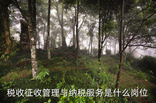 稅控服務(wù)單位是什么，開發(fā)票提示金稅設(shè)備檢測異常請聯(lián)系當(dāng)?shù)胤?wù)單位 是什么意思