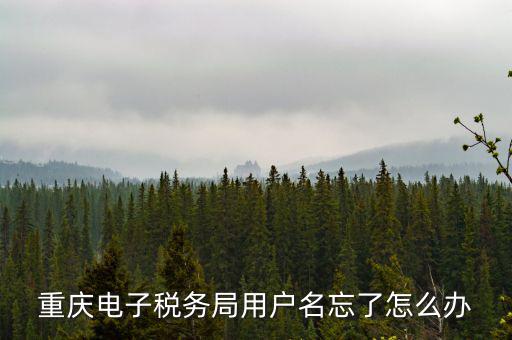 重慶電子稅務(wù)局的網(wǎng)址是什么意思，重慶市國稅電子申報委托繳稅的網(wǎng)址