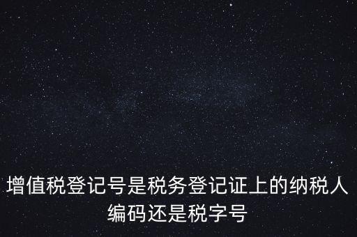 一般納稅人登記編號是什么，納稅人編號是什么