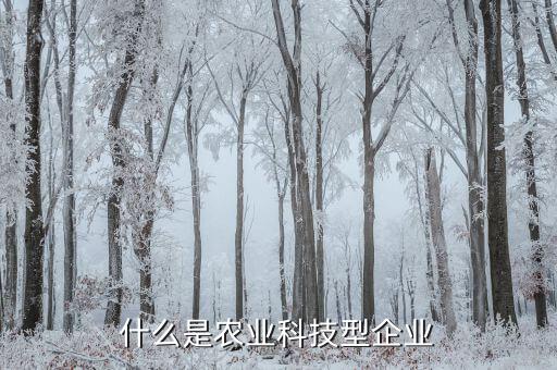 什么算科技型企業(yè)，什么是科技公司
