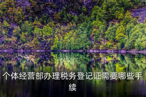 稅務登記辦理都需要什么，辦理稅務登記證都需要提供什么資料