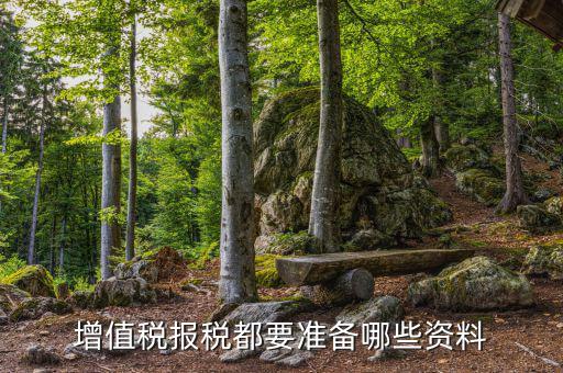 福建報(bào)稅要提供什么資料，報(bào)稅需要什么資料