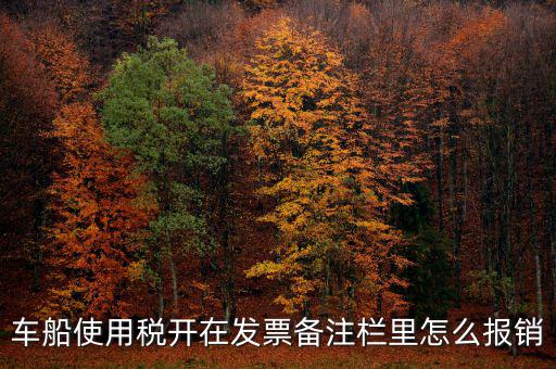 車船使用稅為什么在發(fā)票備注欄，保險(xiǎn)公司代收的車船稅稅款是填在備注欄里的么